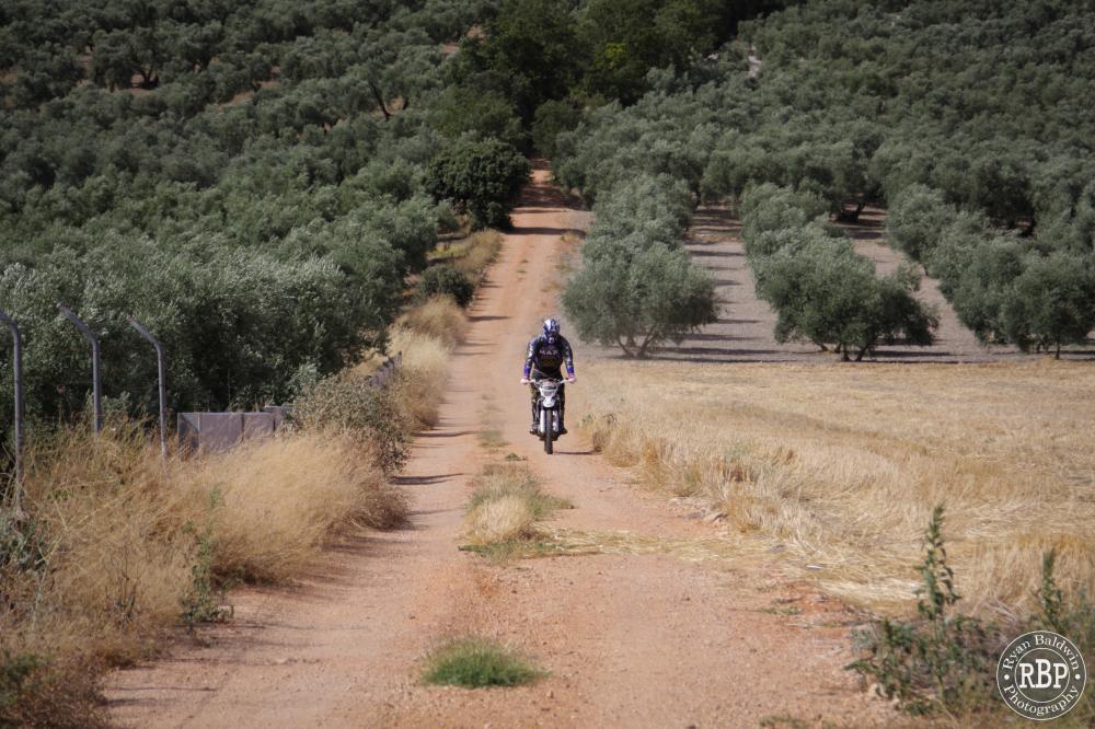 A fast downhill trail showing our motocross rider exiting the olive groves